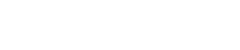 LicenseFortress