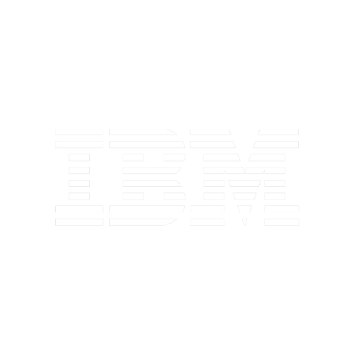 IBM software license audit