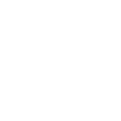 VMware software license audit